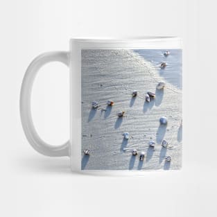 Sea Shells at the Beach Mug